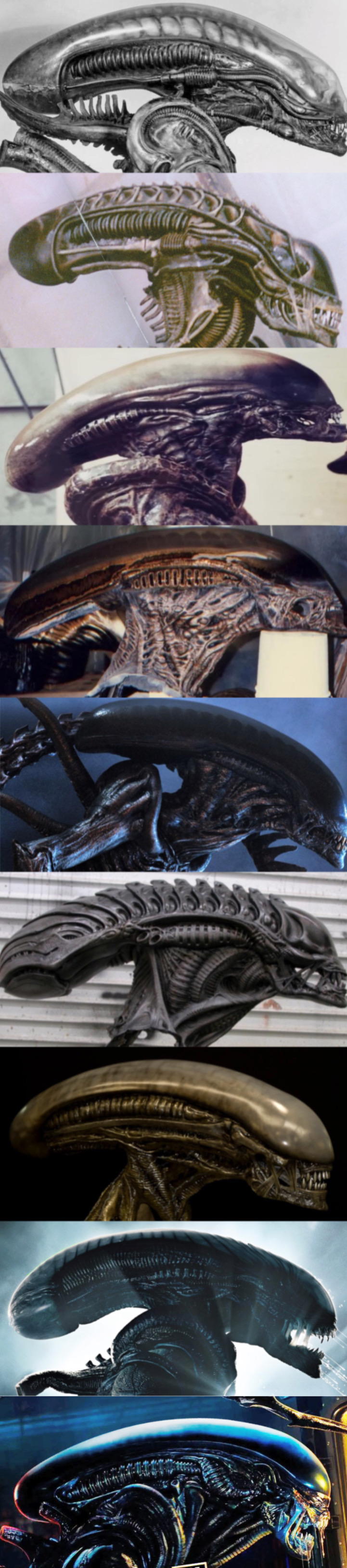 Xenomorph head comparison
