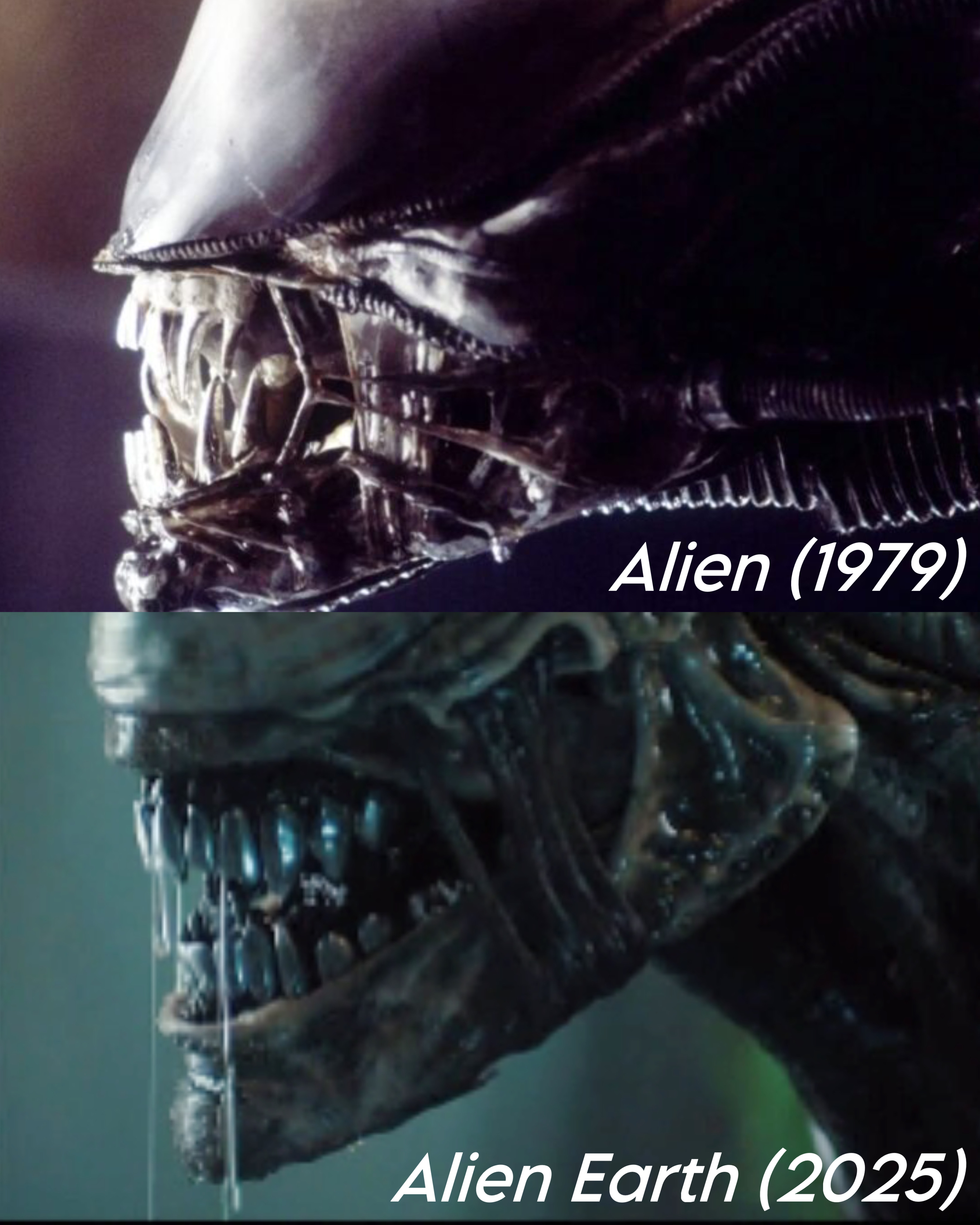 الأمل www Alien (1979) Alien Earth (2025)"
