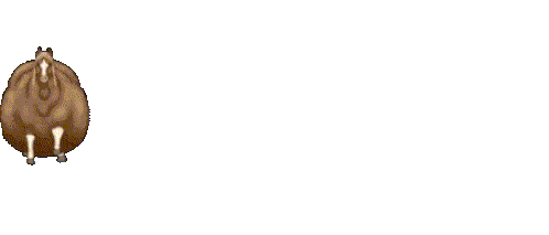 Missile Strike Explosion
