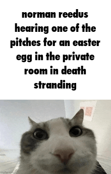 A meme reading, "norman reedus hearing one of the pitches for an easter egg in the private room in death stranding." The meme is about an easter egg where a monster arguably resembling Kojima grabs Reedus' feet when zoomed in on.
