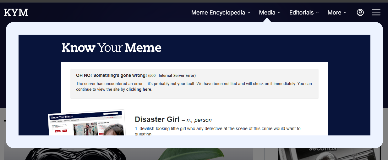 I can't even browse images anymore what the hell.