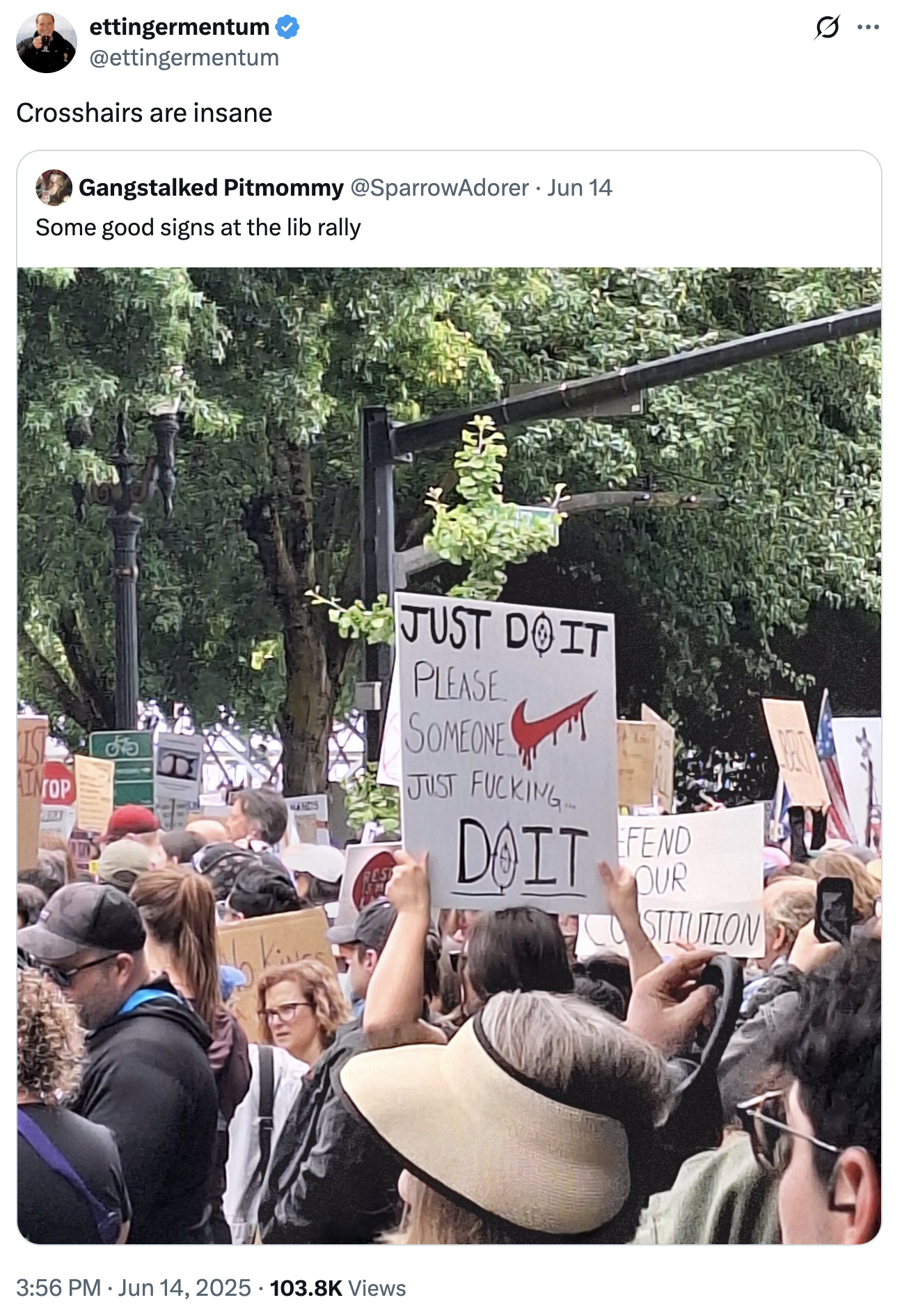 ettingermentum ✪ @ettingermentum Crosshairs are insane Gangstalked Pitmommy @SparrowAdorer • Jun 14 Some good signs at the lib rally Op 75 JUST DOIT PLEASE SOMEONE JUST F------ DOIT FEND OUR STITUTION 3:56 PM Jun 14, 2025 103.8K Views Q :