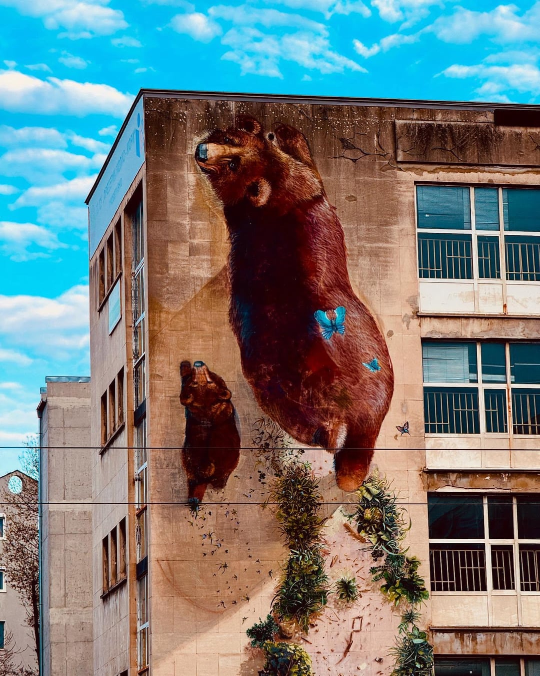 Mother And Her Cub, Sofia, Bulgaria