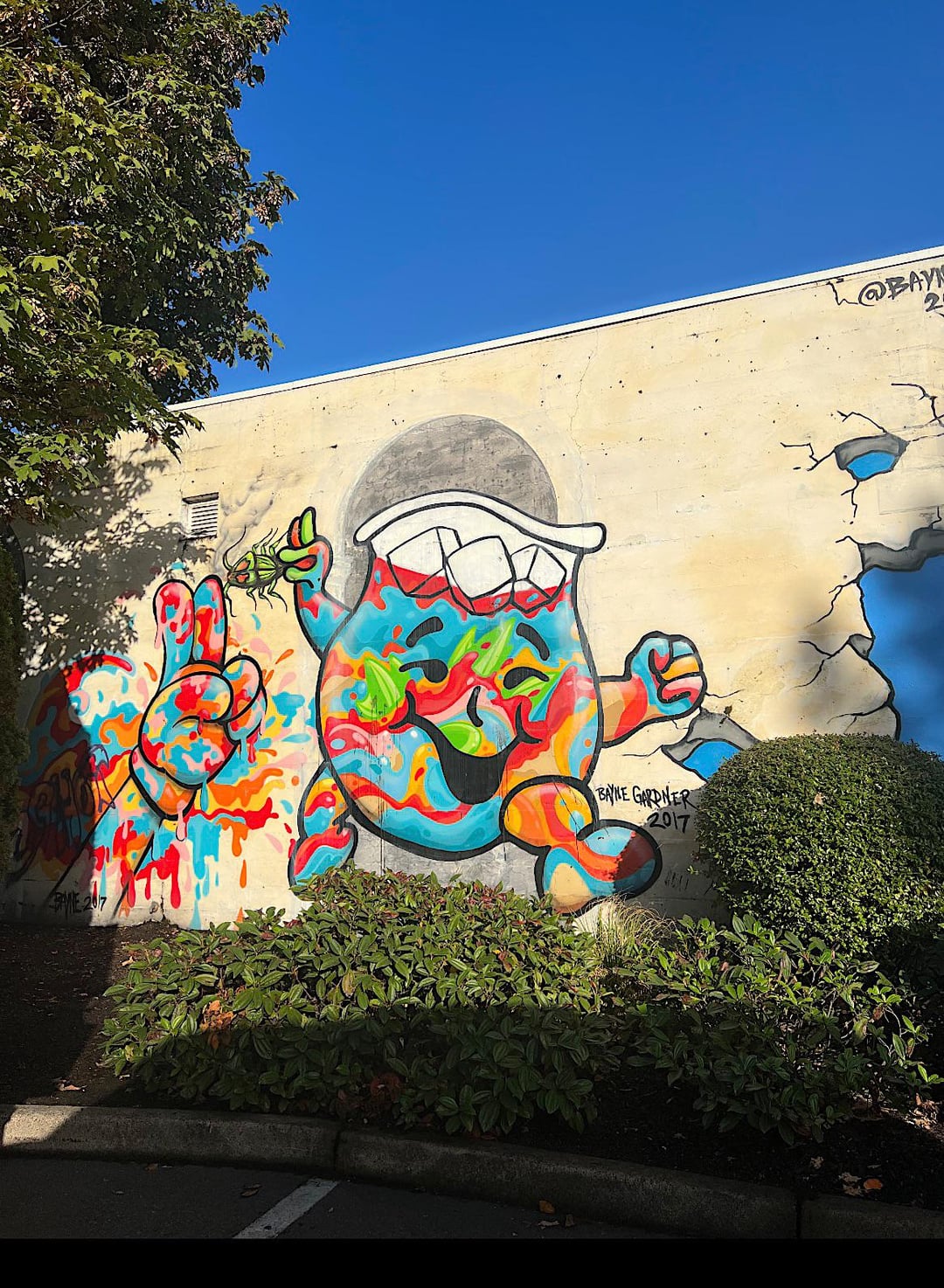 BAYNE GARDNER 2017 @BAY 2