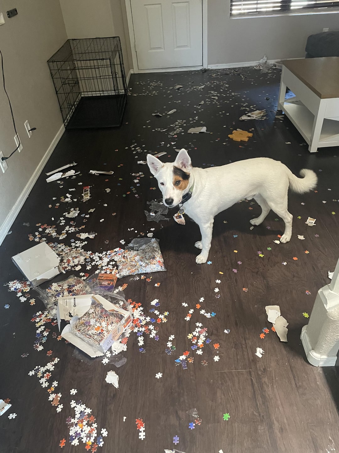 The puzzle is finished