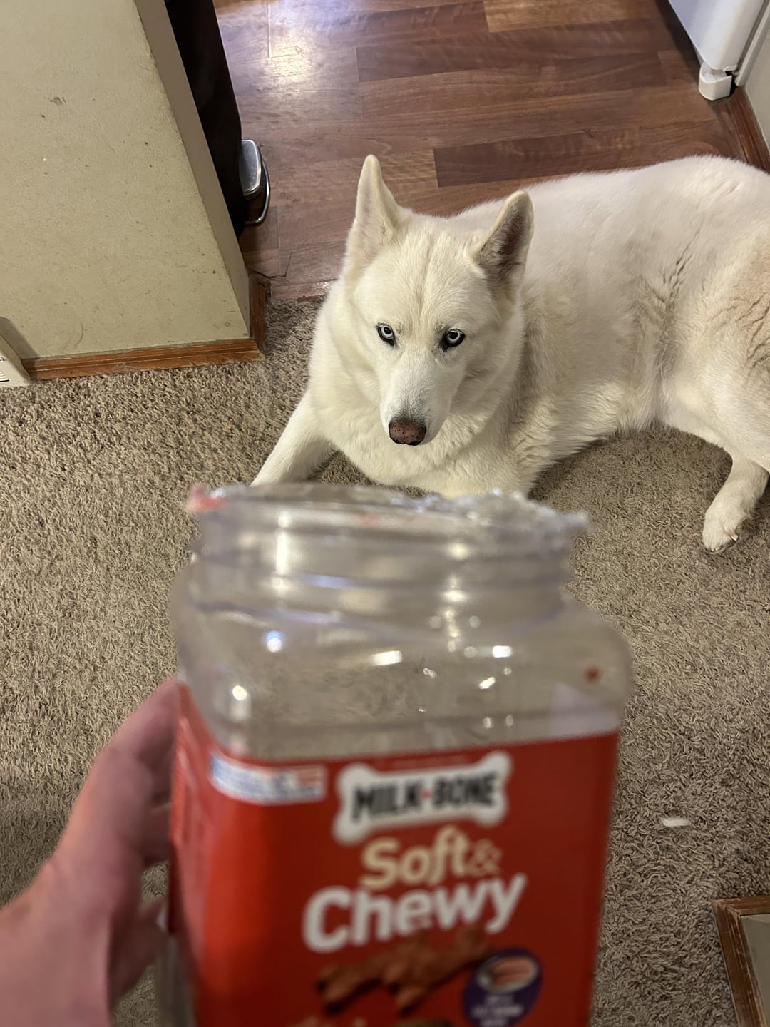 MILK-BONE Soft& Chewy Def