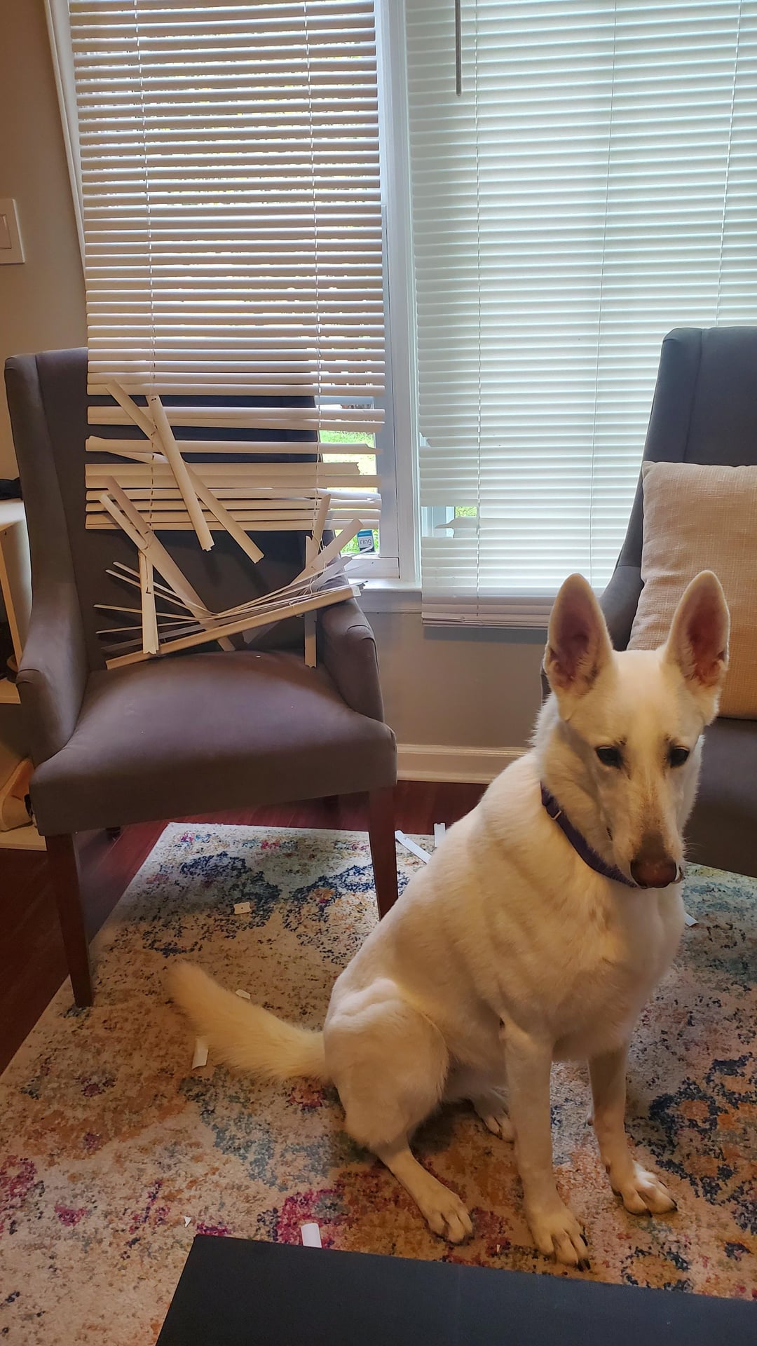She just wanted to look outside