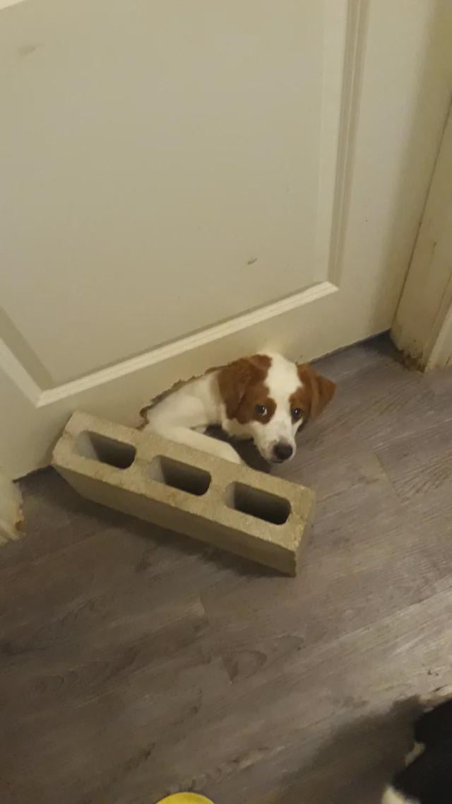 So guilty