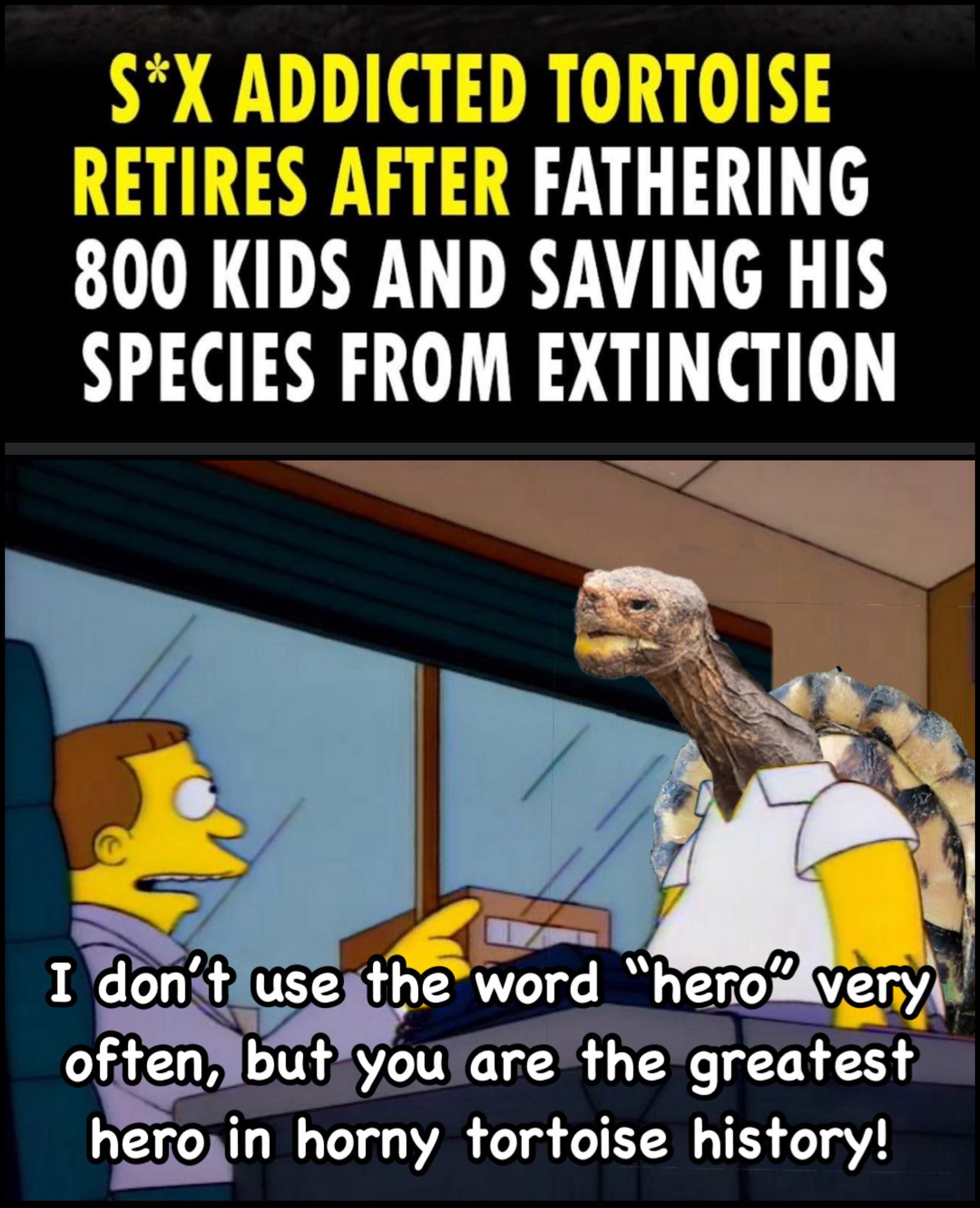 S*X ADDICTED TORTOISE RETIRES AFTER FATHERING 800 KIDS AND SAVING HIS SPECIES FROM EXTINCTION I don't use the word "hero" very often, but you are the greatest hero in horny tortoise history!