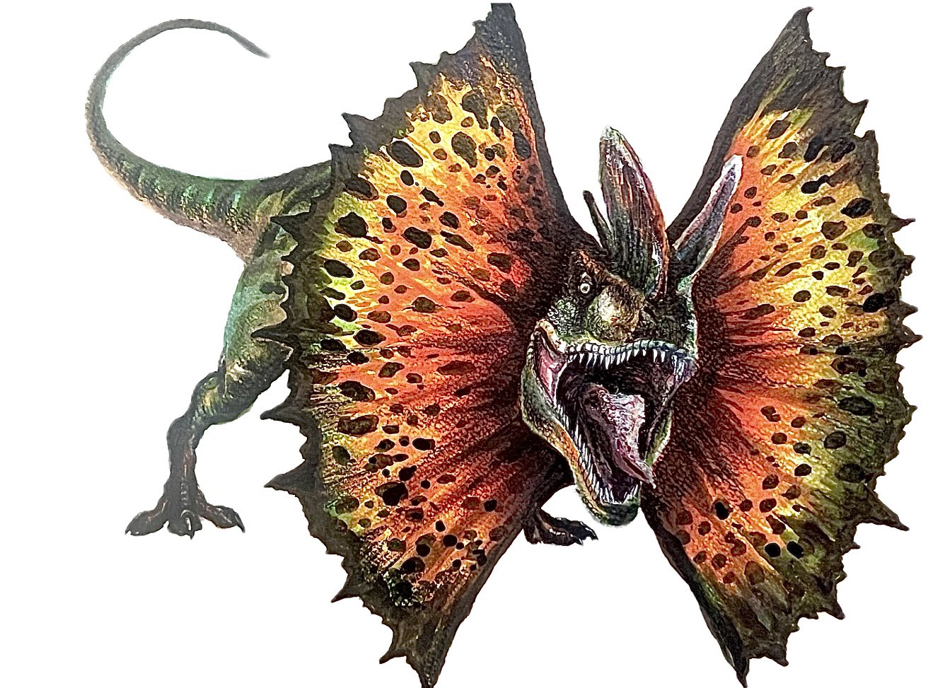 Dilophosaurus