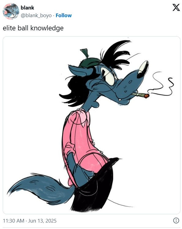 blank @blank_boyo Follow elite ball knowledge 11:30 AM Jun 13, 2025 X