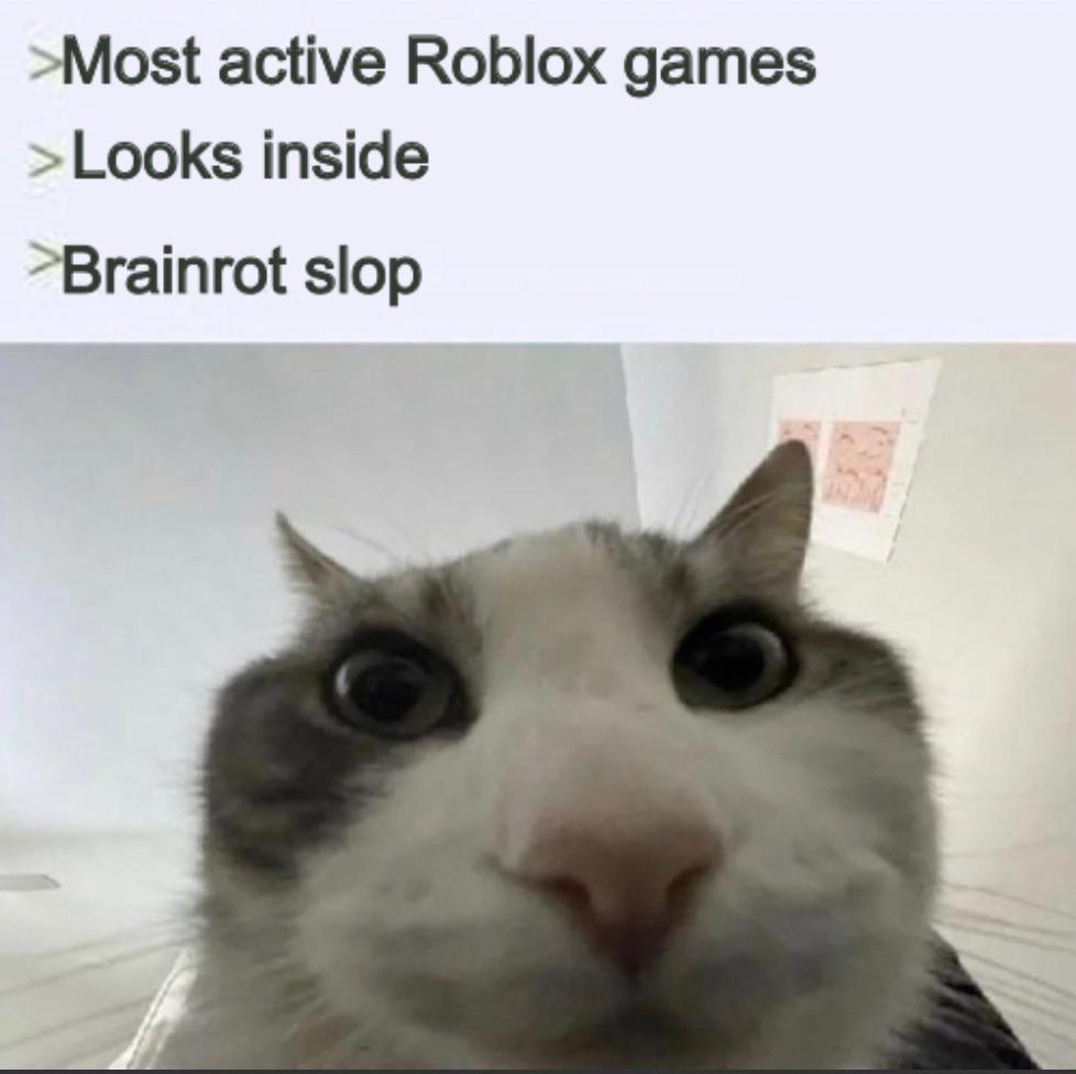 A meme reacting to the popularity of steal a brainrot. The meme calls it brainrot slop.