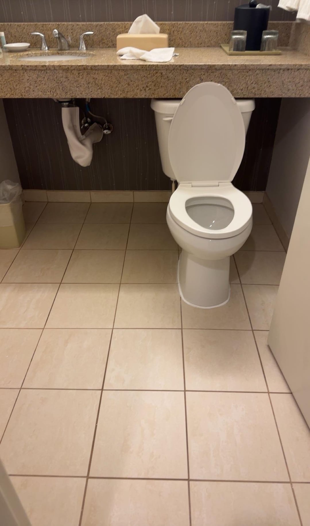 The toilet in this hotel room