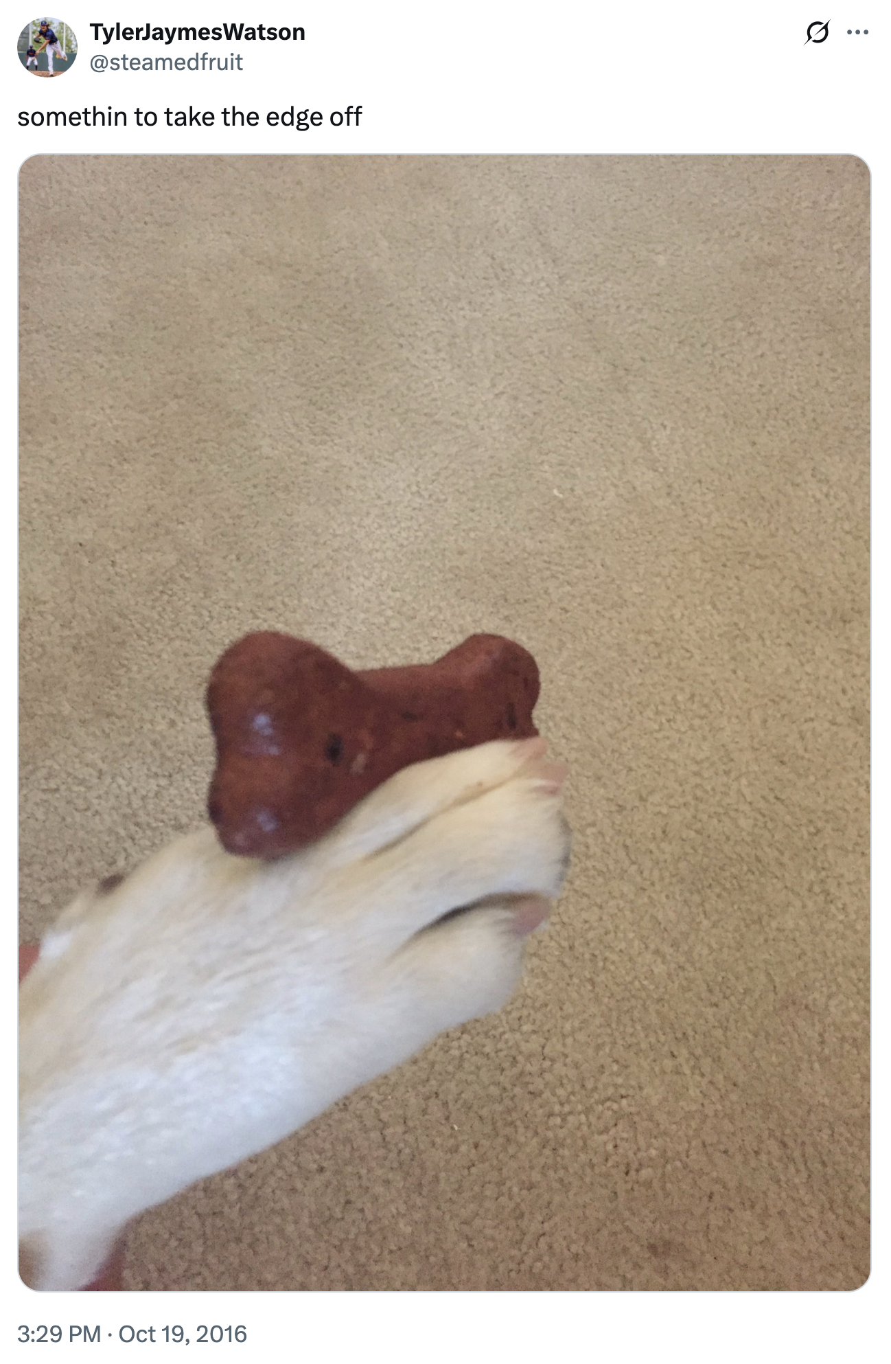 A photo of a "dog":https://knowyourmeme.com/memes/subcultures/dogs holding a treat like a c--------, captioned, "Somethin' to take the edge off."