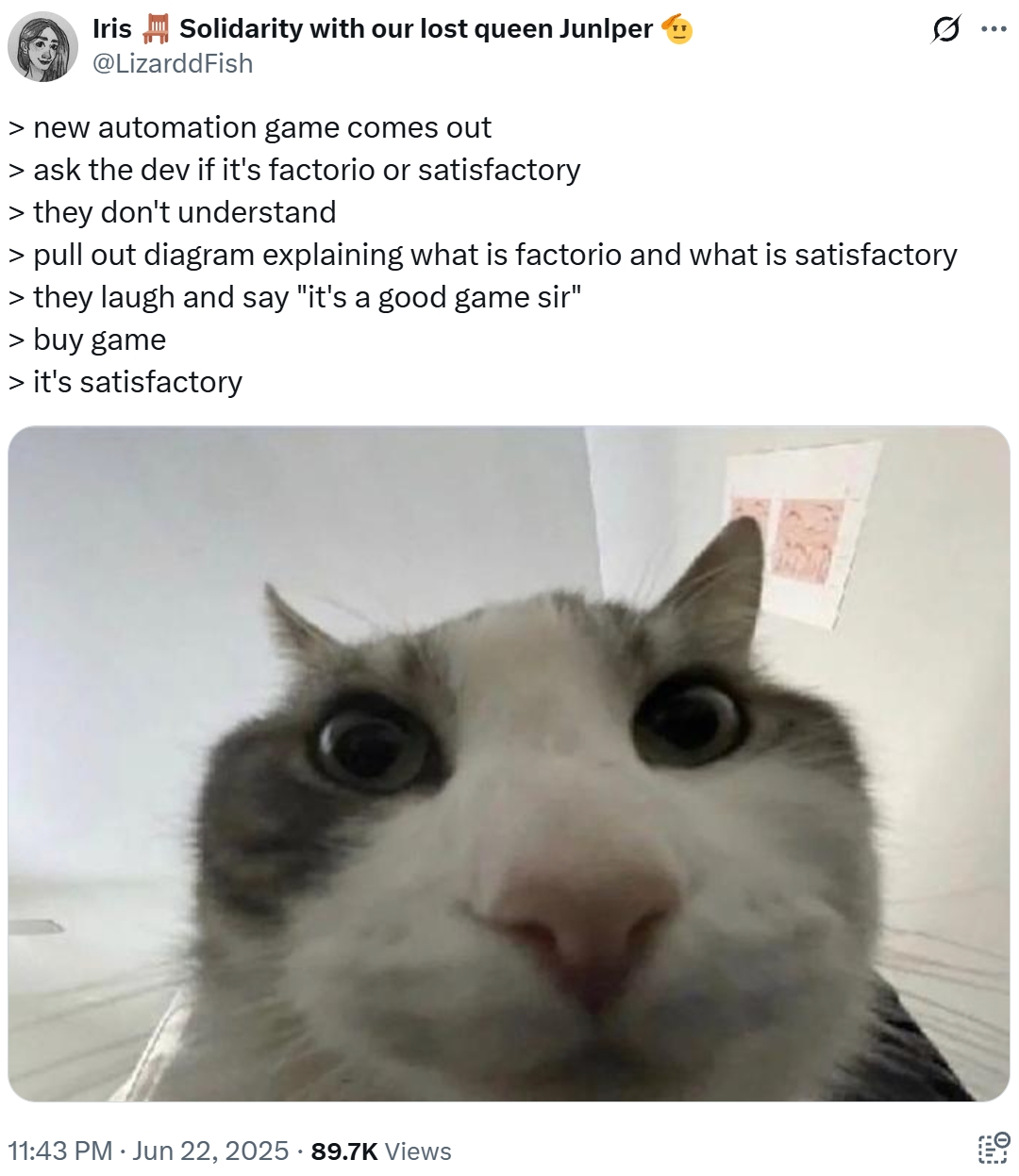 Iris Solidarity with our lost queen Junlper @LizarddFish > new automation game comes out > ask the dev if it's factorio or satisfactory > they don't understand 0 > pull out diagram explaining what is factorio and what is satisfactory > they laugh and say "it's a good game sir" > buy game > it's satisfactory 11:43 PM ⚫ Jun 22, 2025 89.7K Views ...