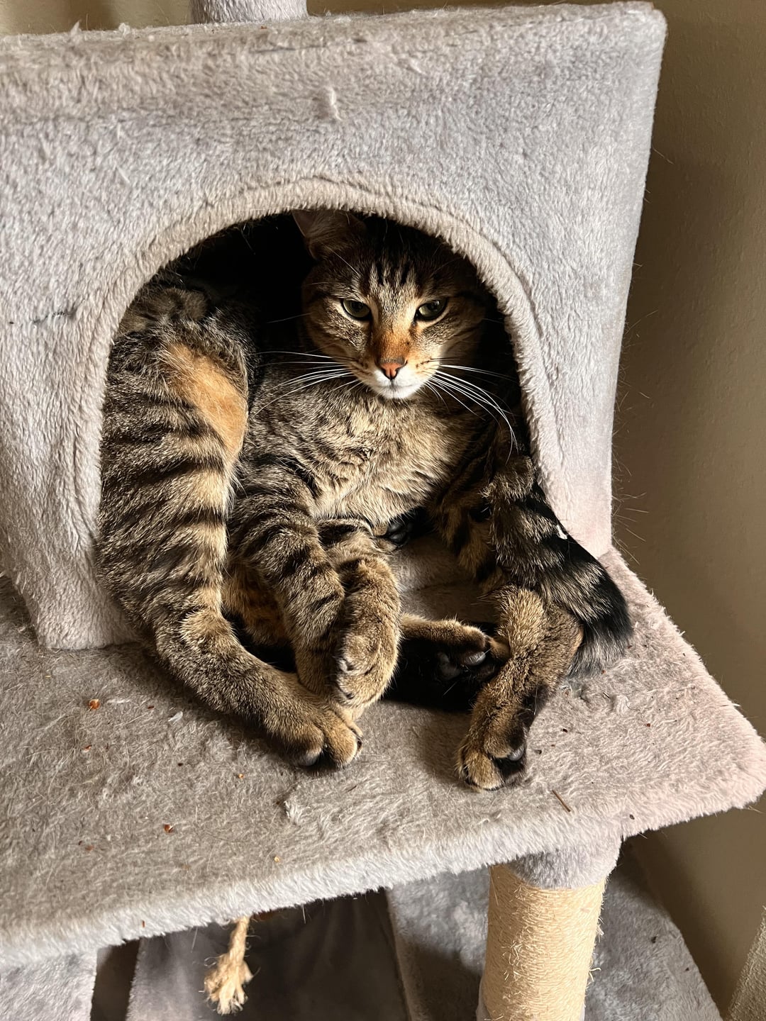 How many legs is that?