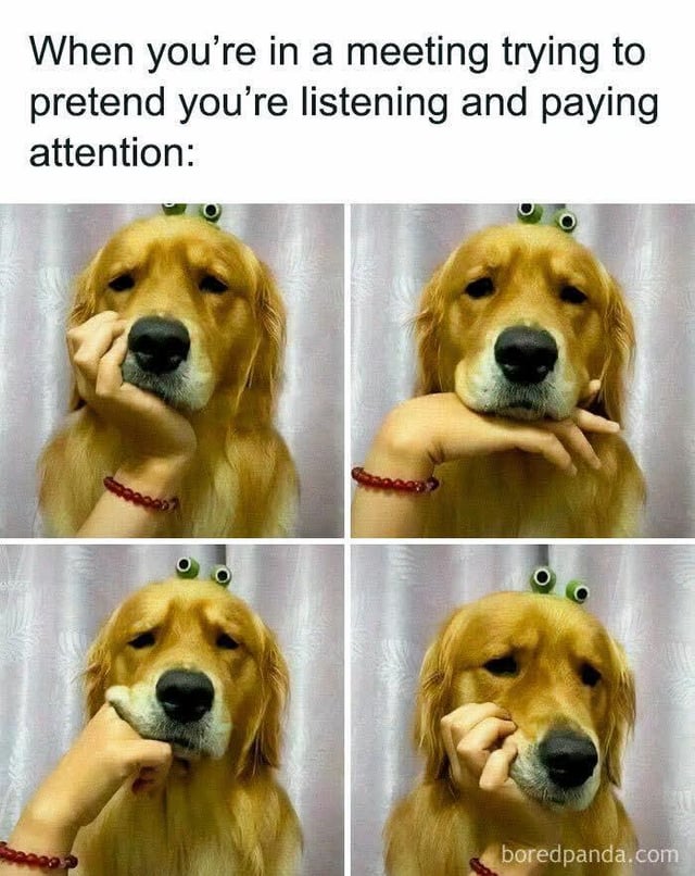 I Am Listening Know Your Meme i-am-listening-know-your-meme