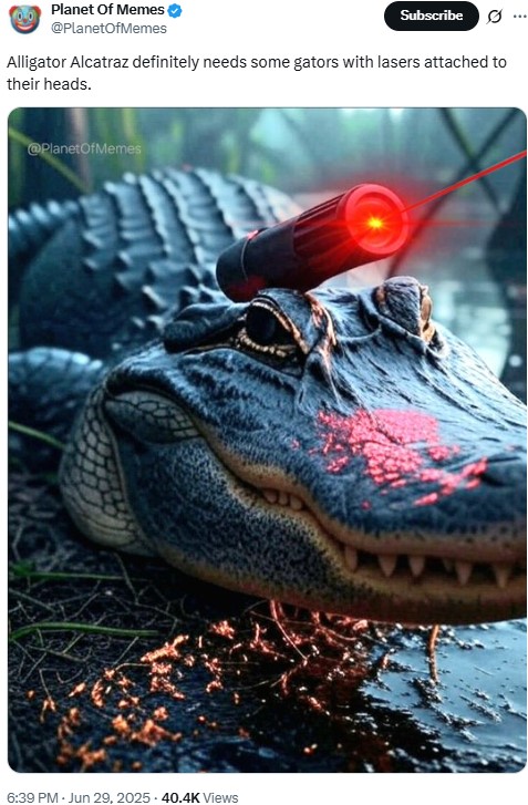 Planet Of Memes @PlanetOfMemes Subscribe Alligator Alcatraz definitely needs some gators with lasers attached to their heads. @PlanetOfMemes 6:39 PM - Jun 29, 2025-40.4K Views