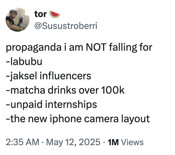 tor @Susustroberri propaganda i am NOT falling for -labubu -jaksel influencers -matcha drinks over 100k -unpaid internships -the new iphone camera layout • . 2:35 AM May 12, 2025 1M Views