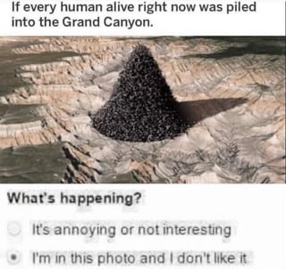 If every human alive right now was piled into the Grand Canyon. What's happening? It's annoying or not interesting I'm in this photo and I don't like it