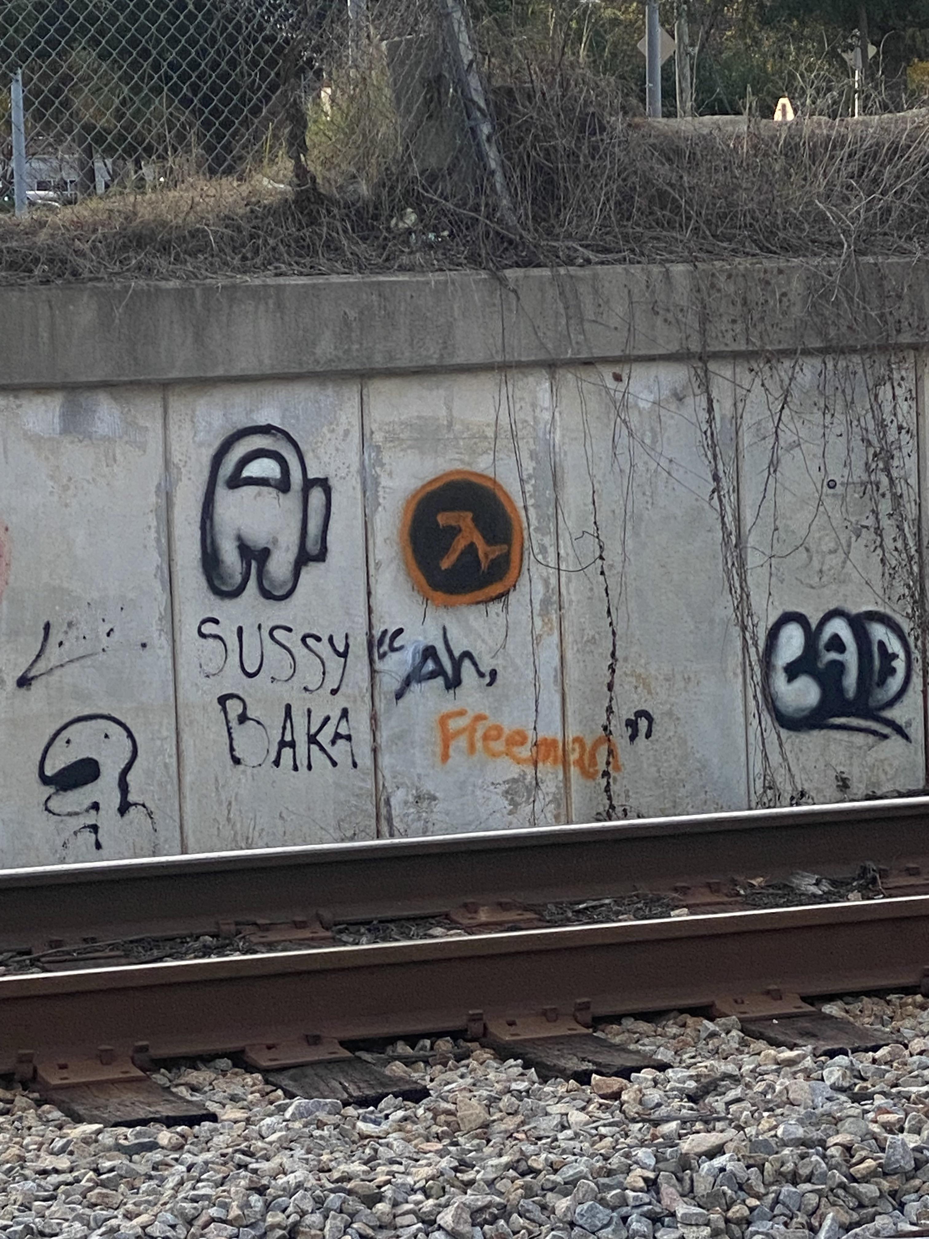 SUSSY Ah, BAKA Freeman CAD