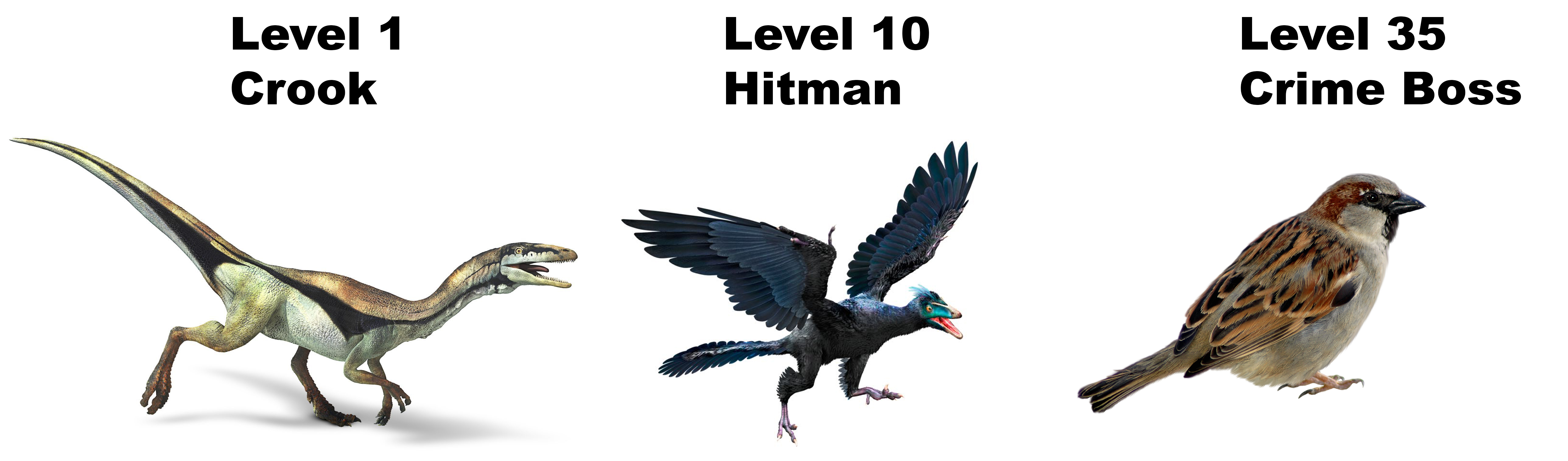 ༥ན་་་་་་་་་་་་་ང་་་ Level 1 Crook Level 10 Hitman Level 35 Crime Boss