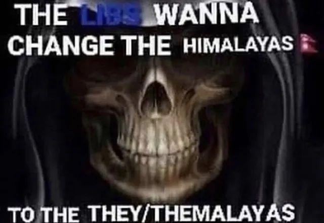 THE LIBS WANNA CHANGE THE HIMALAYAS TO THE THEY/THEMALAYAS