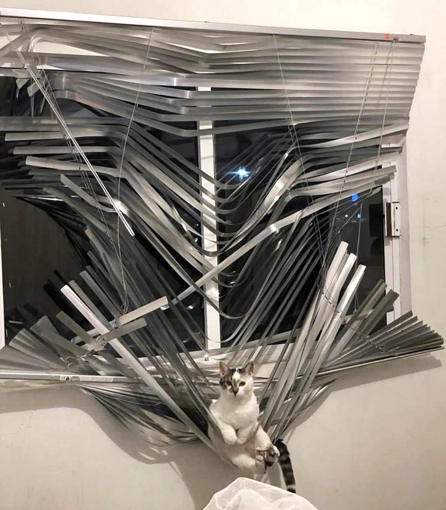 Ser Pounce, first of his name to sit upon the thousand blades of Aegon's enemies | /r/FreeFolk