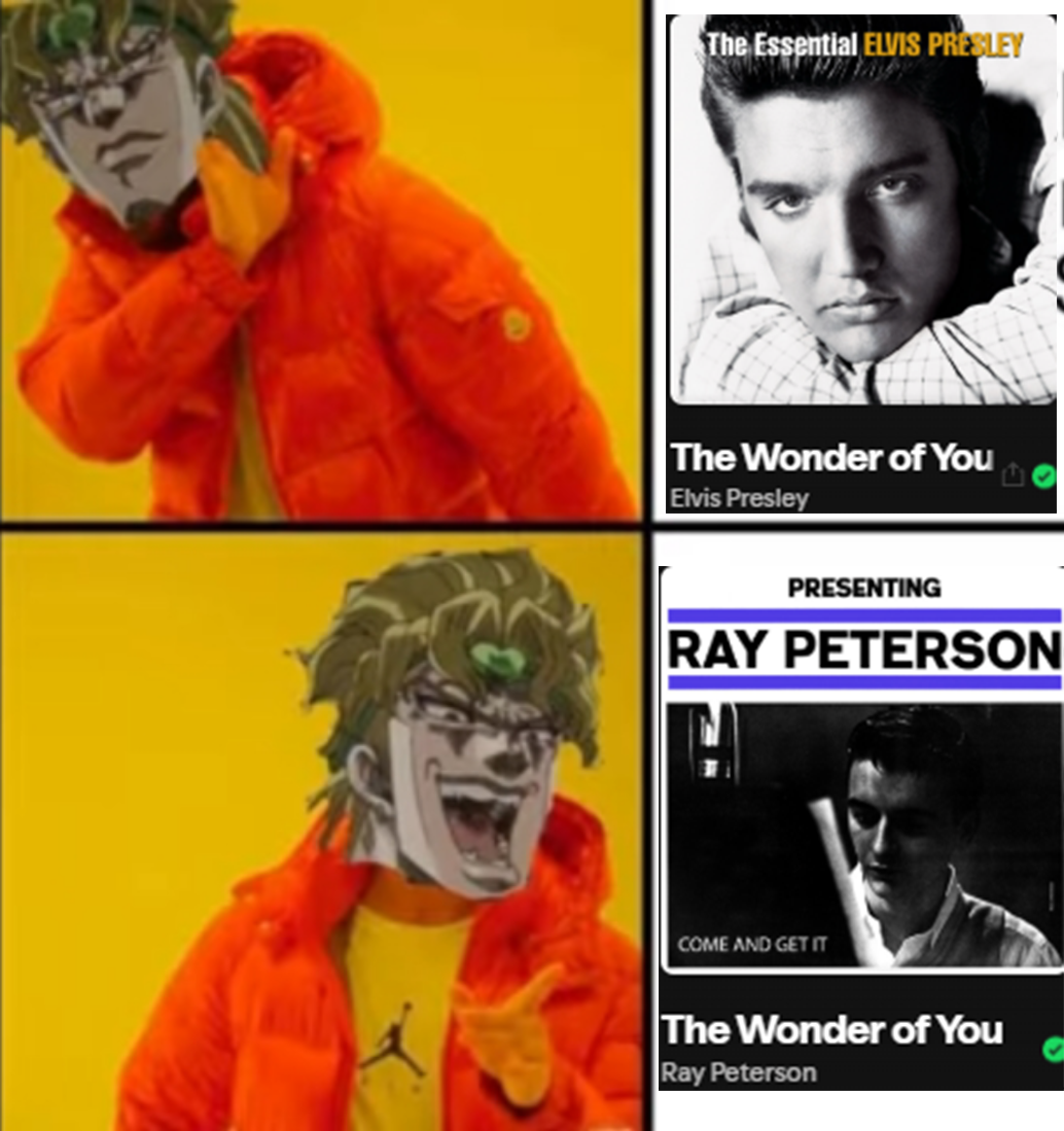 The Essential ELVIS PRESLEY The Wonder of You Elvis Presley PRESENTING RAY PETERSON COME AND GET IT The Wonder of You Ray Peterson