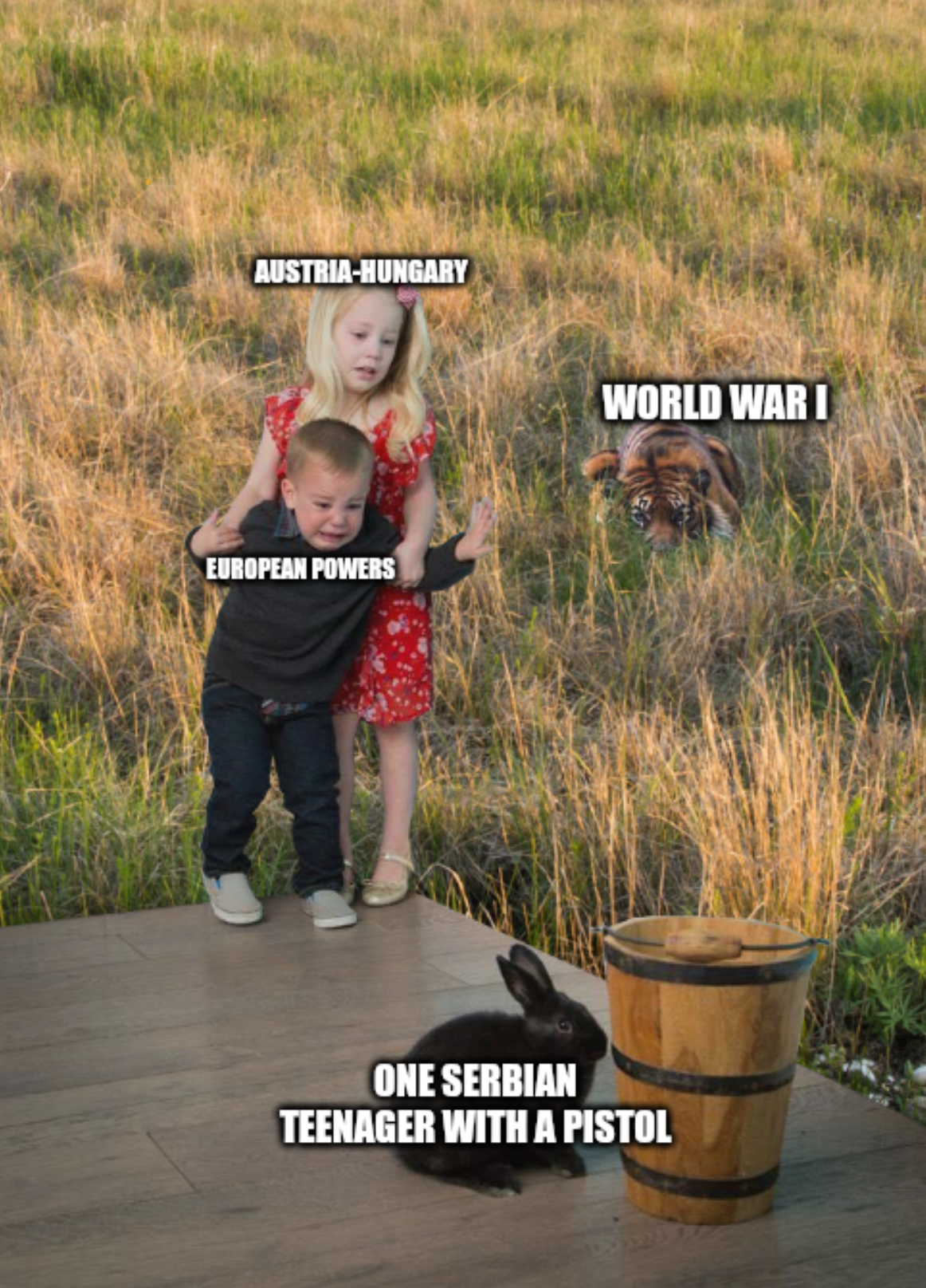 AUSTRIA-HUNGARY EUROPEAN POWERS WORLD WAR I ONE SERBIAN TEENAGER WITH A PISTOL