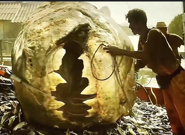Jurassic world rebirth Dunkleosteus