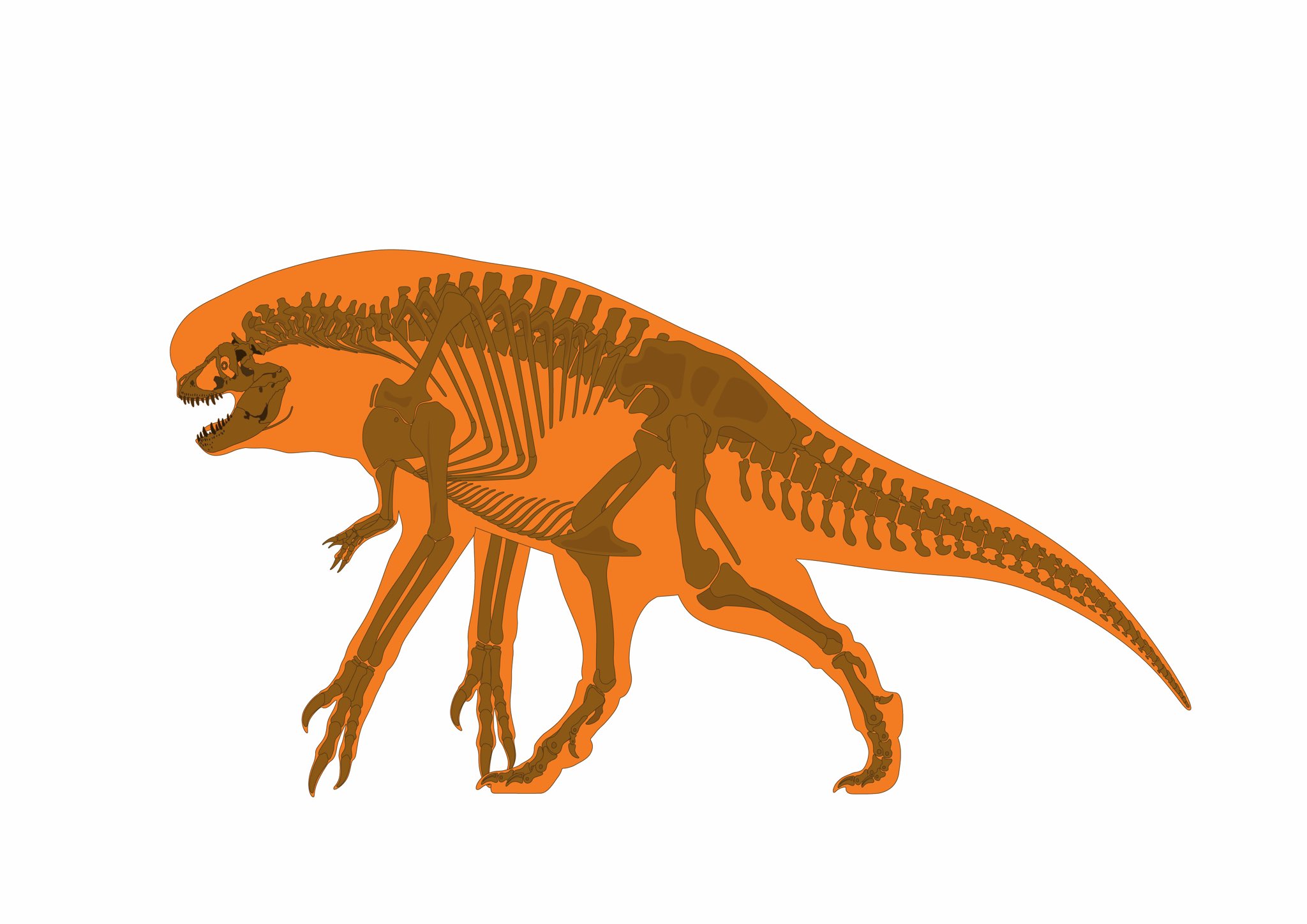 Distortus Rex skeletal