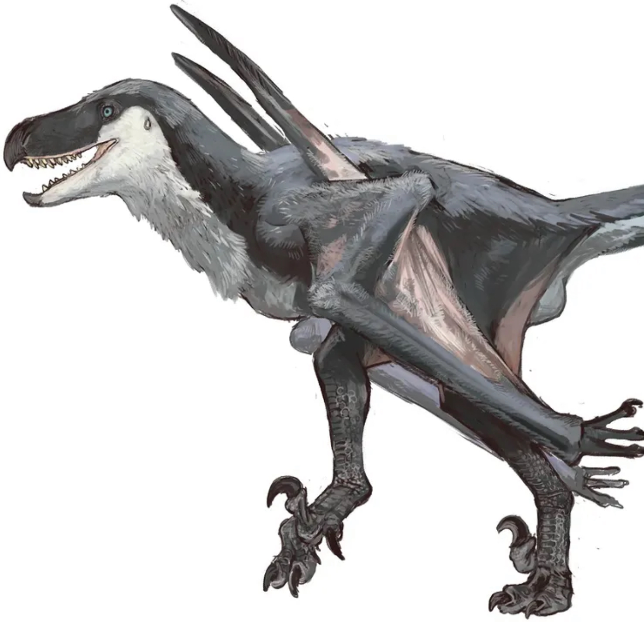 Mutadon