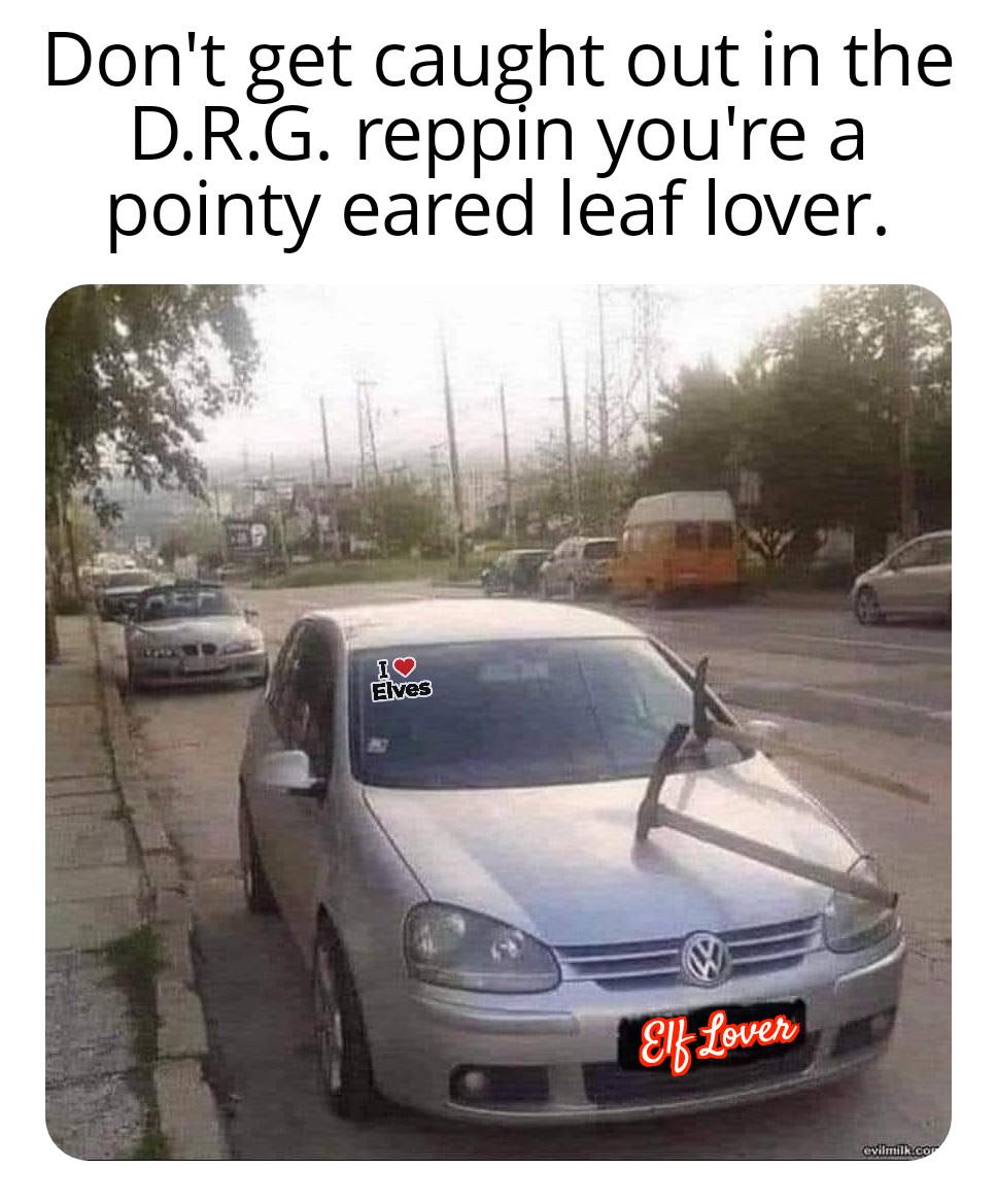 Don't get caught out in the D.R.G. reppin you're a pointy eared leaf lover. I Elves Elf Lover evilmilk.co