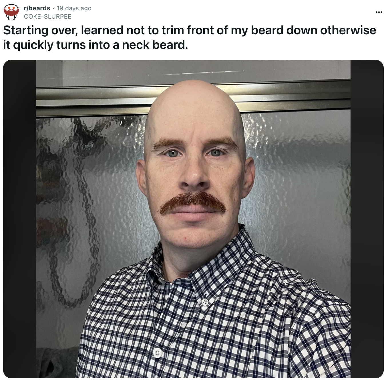 Redditor u/COKE-SLURPEE posted a selfie to the subreddit r/beards, writing, "Starting over, learned not to trim front of my beard down otherwise it quickly turns into a neck beard." The selfie showed him bald with a mustache, staring into the camera in his bathroom. The post gathered over 200 likes in 20 days.
