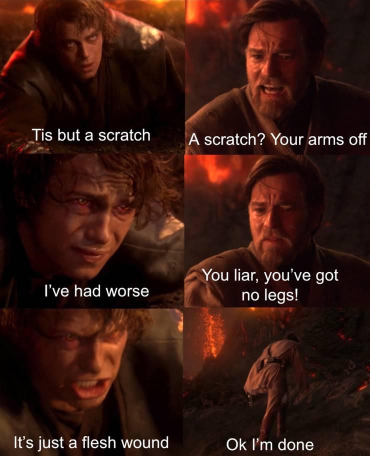 Tis but a scratch A scratch? Your arms off I've had worse You liar, you've got no legs! It's just a flesh wound Ok I'm done