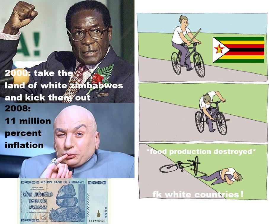 2000: take the land of white Zimbabwes and kick them out 2008: 11 million percent inflation *food production destroyed* 100000000000000 RESERVE BANK OF ZIMBABWE 100000000000000 ONE HUNDRED TRILLION DOLLARS 100 000 000 000 000 wwwwwwww AA3905431 fk white countries!