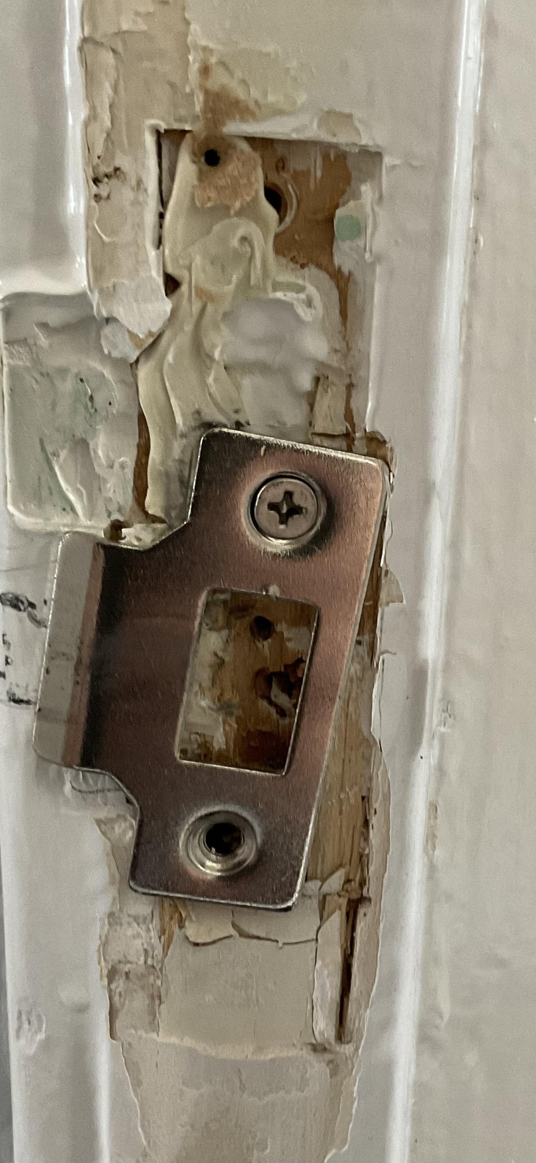 The landlord special