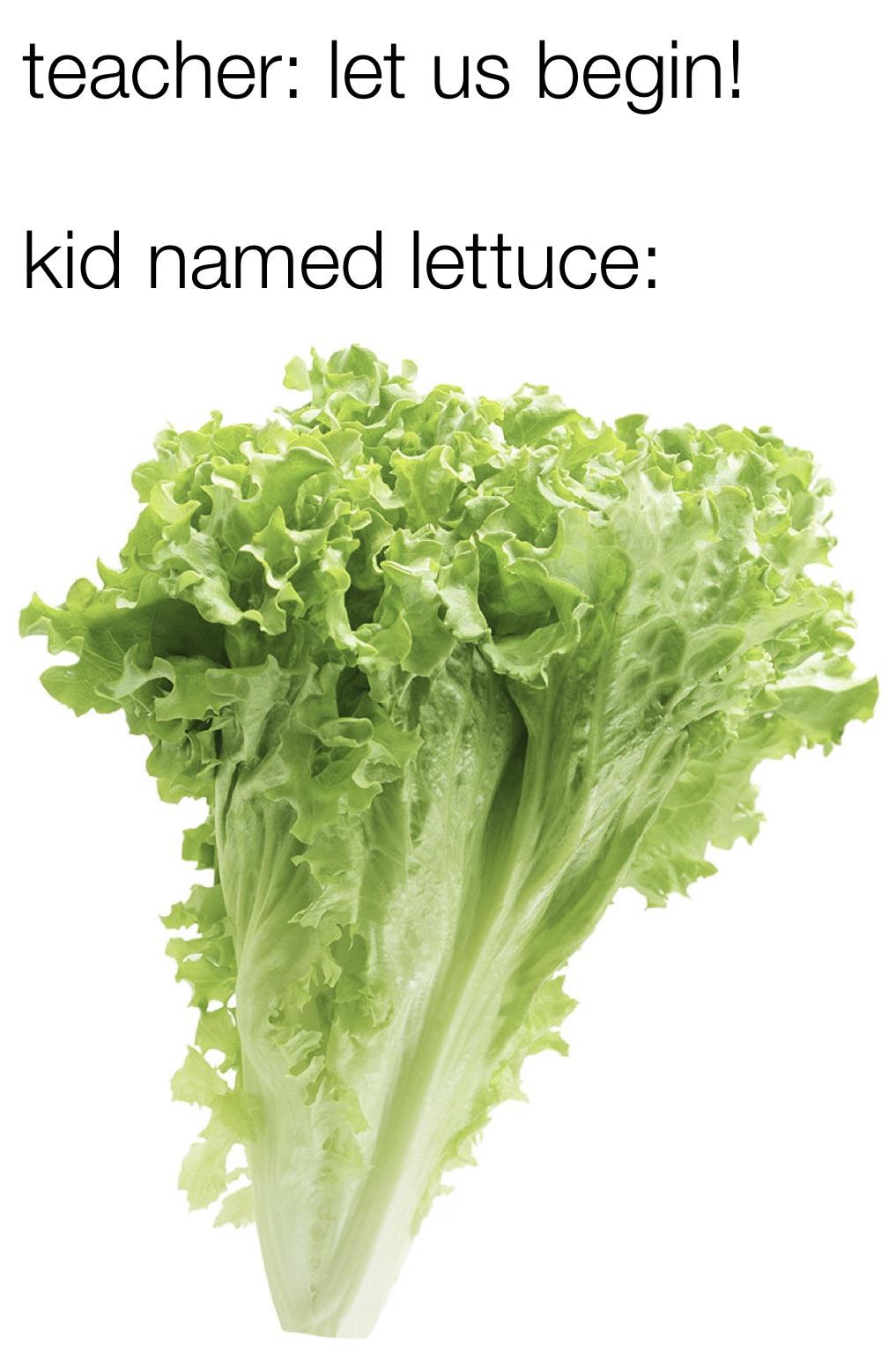 teacher: let us begin! kid named lettuce: