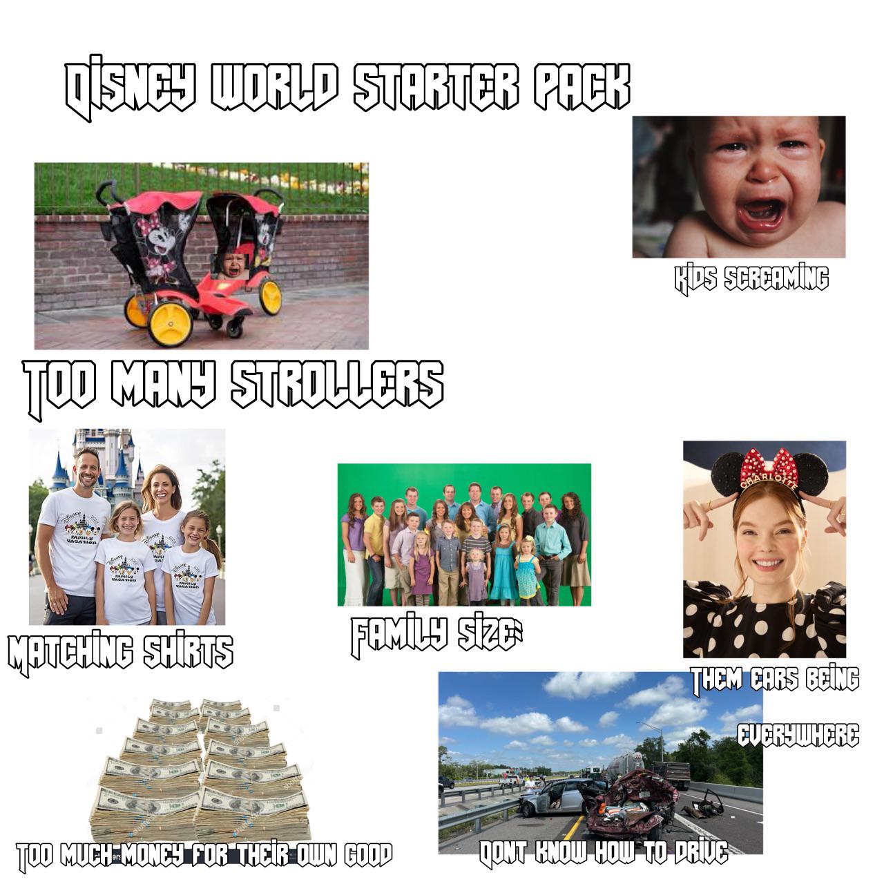 QISNEY WORLD STARTER PACK TOO MANY STROLLERS L KIDS SCREAMING MATCHING SHIRTS FAMILY SIZE THEM CARS BEING EVERYWHERE TOO MUCH MONEY FOR THEIR OWN GOOD DONT KNOW HOW TO DRIVE