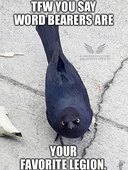 TFW YOU SAY WORD BEARERS ARE BLOOD RAVEN CHIEF AQUISITION OFFICER YOUR FAVORITE LEGION.