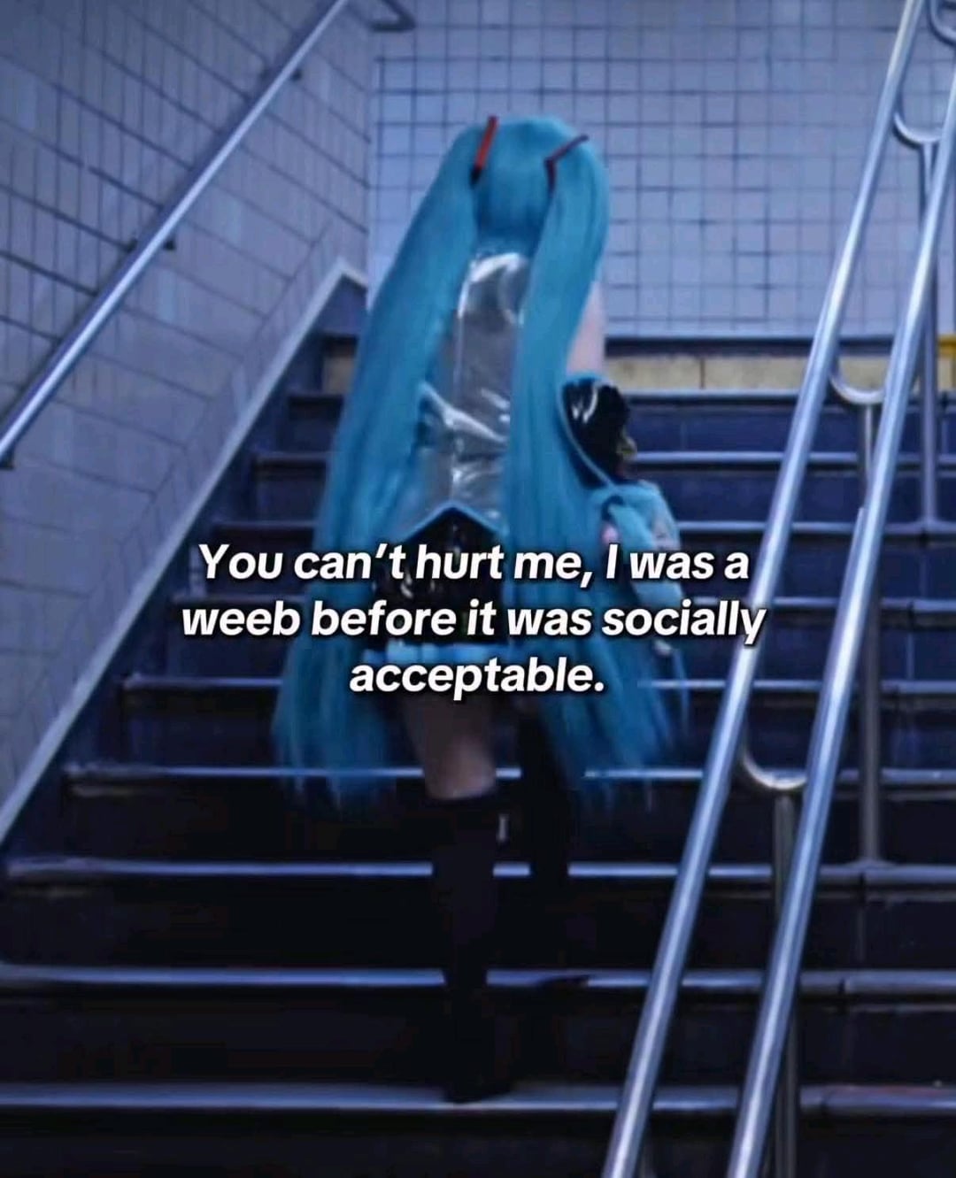 You can't hurt me, I was a weeb before it was socially acceptable.