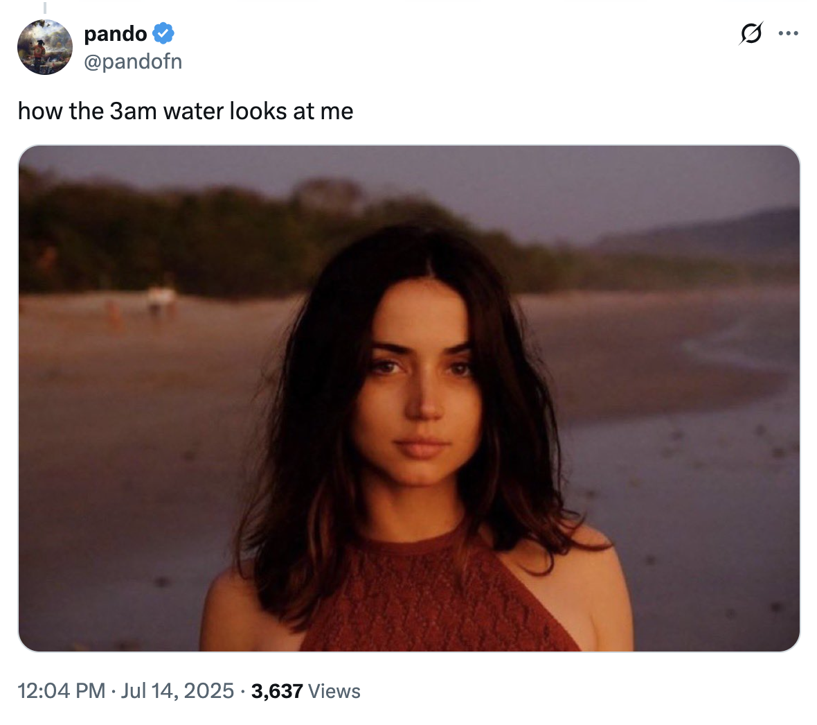 A "tweet":https://knowyourmeme.com/memes/sites/twitter-x using the Ana de Armas Beach Look photo, captioned, "how the 3am water looks at me."