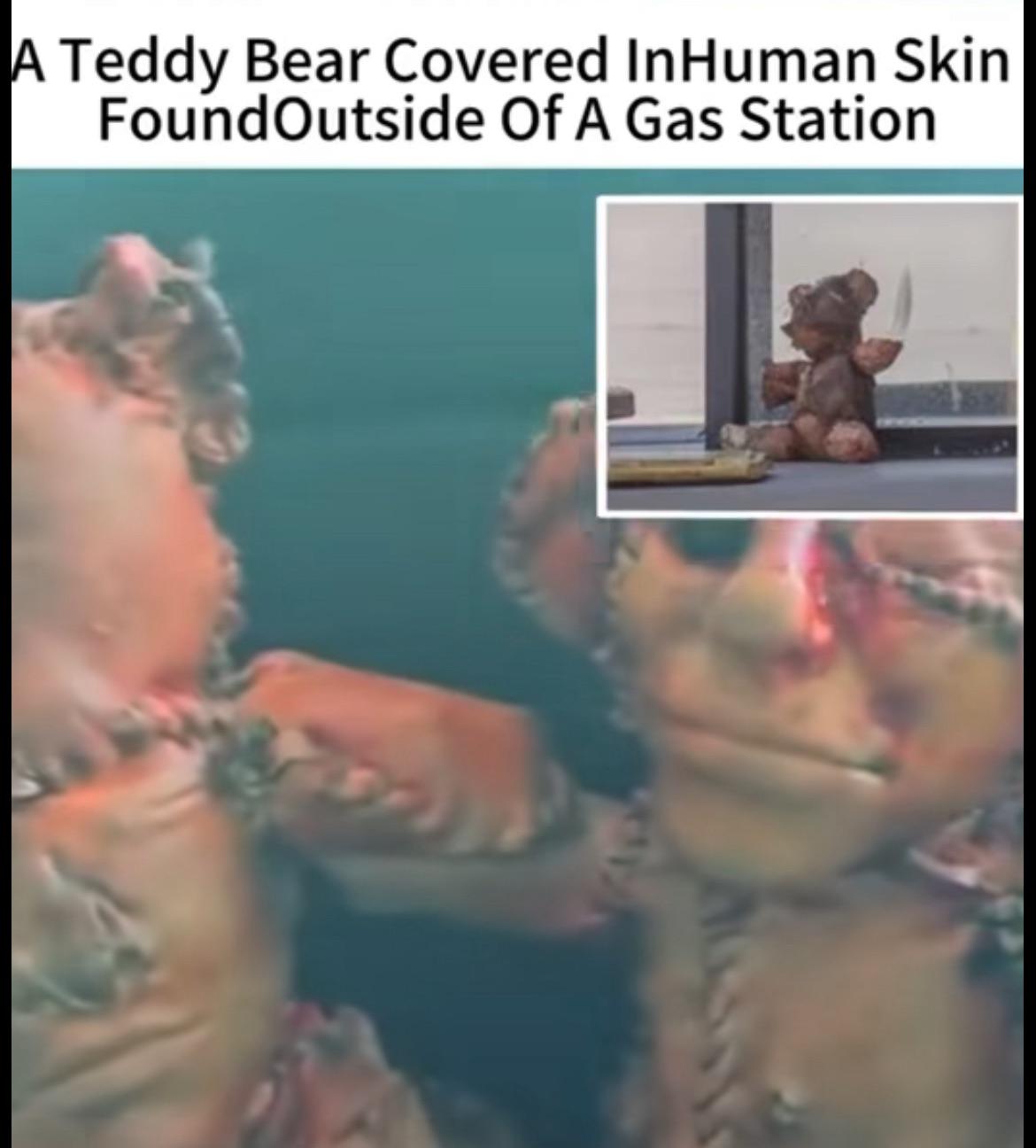 A Teddy Bear Covered InHuman Skin FoundOutside Of A Gas Station