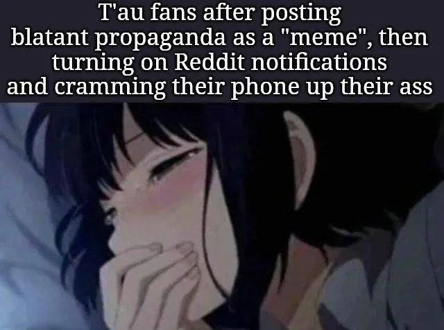 T'au fans after posting blatant propaganda as a "meme", then turning on Reddit notifications and cramming their phone up their ass