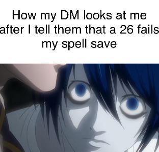 How my DM looks at me after I tell them that a 26 fails my spell save