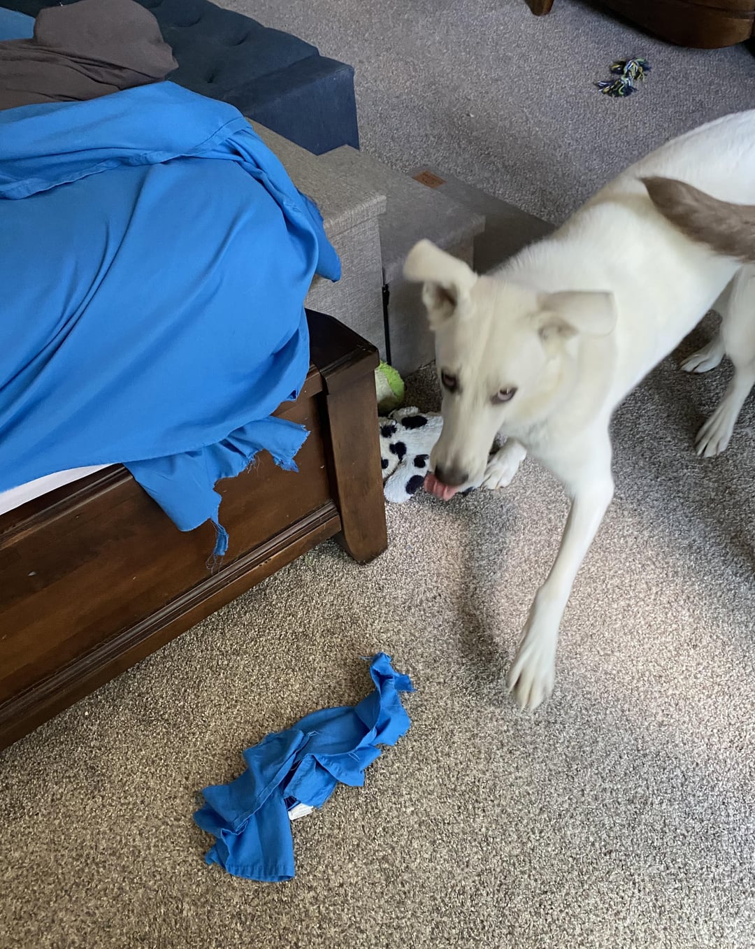 A thief