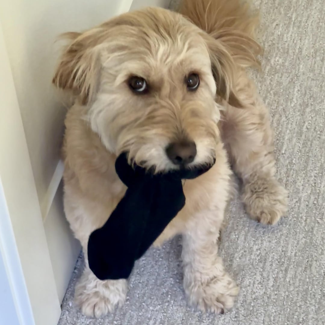 Found a sock