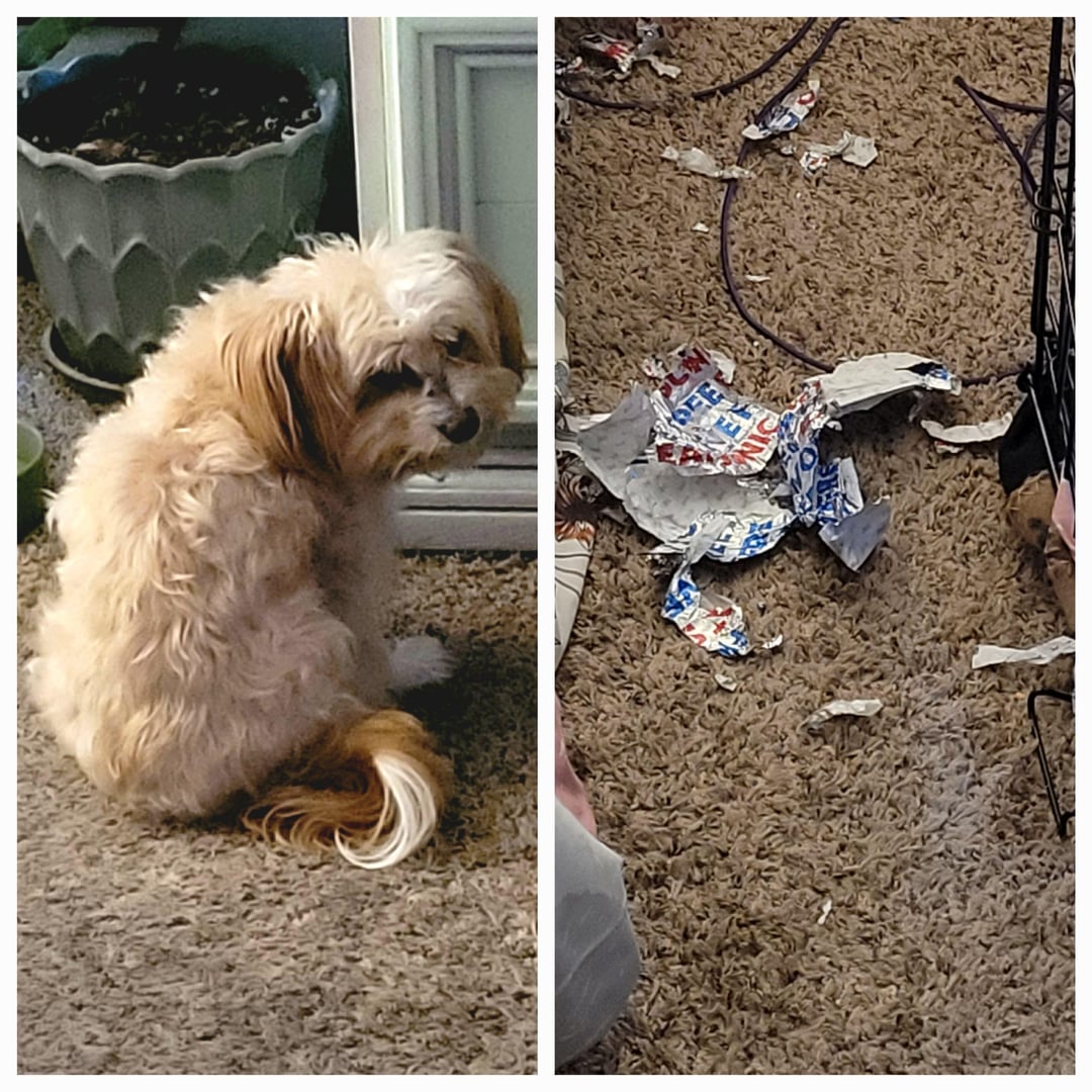 He's sorry