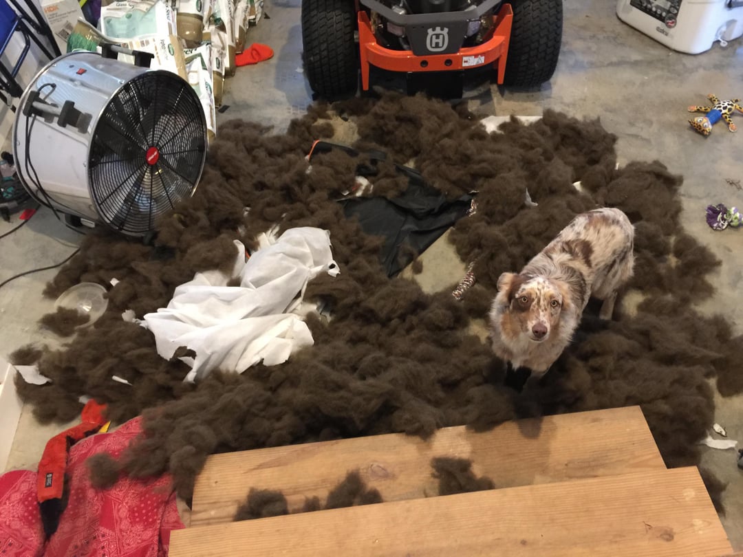 That was a new bed